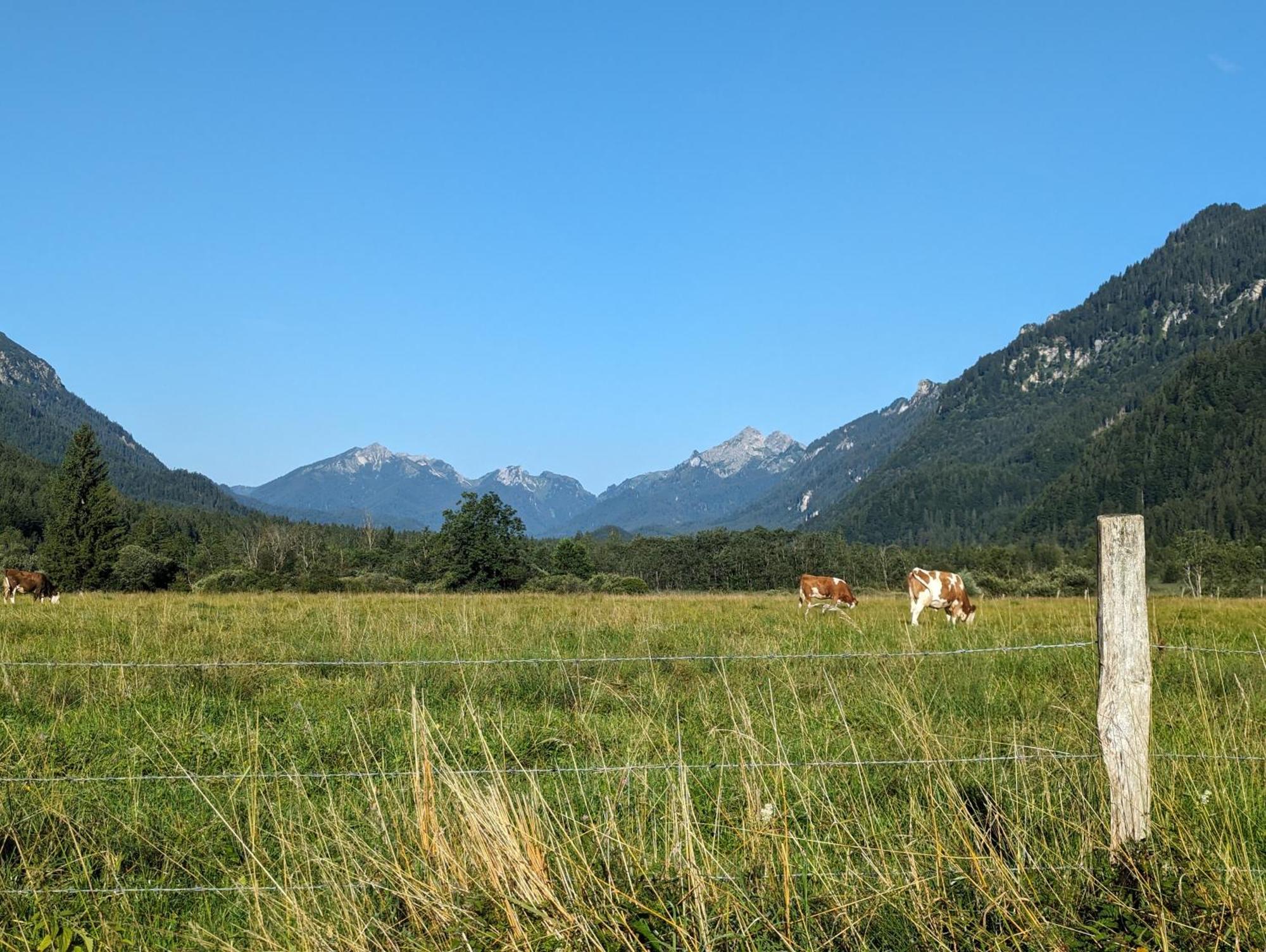 Zur Alten Schmiede Ettal Exterior photo